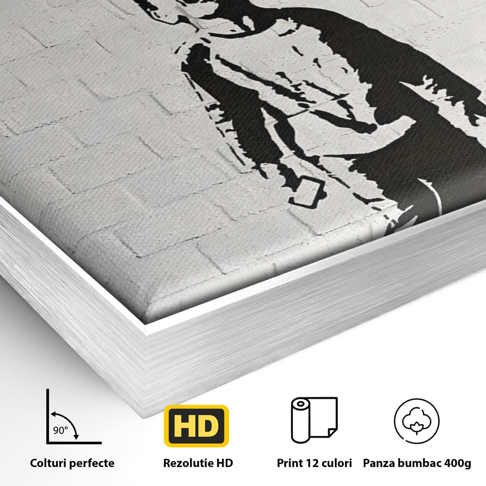 Detaliu al suprafetei: tablou canvas cu copil strigand si notificari, in rama de aluminiu argintiu